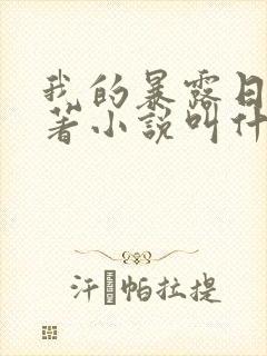 我的暴露日记原著小说叫什么