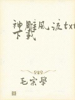 神雕风流txt下载