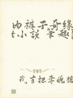 内裤子奇缘txt小说 笔趣阁