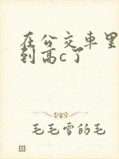 在公交车里c弄到高c了