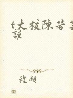 t大校陈若芸小说