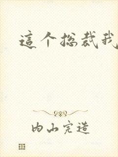 这个总裁我要了