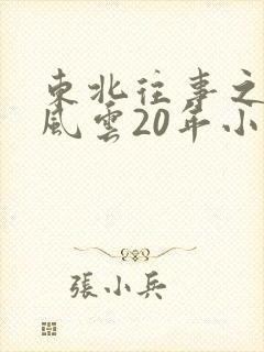 东北往事之黑道风云20年小说