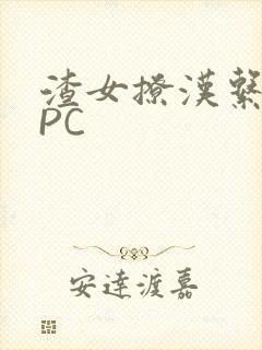 渣女撩汉系统NPC