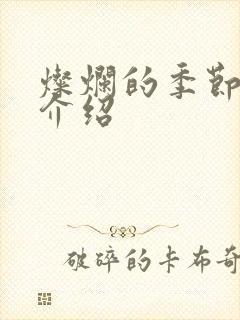 灿烂的季节剧情介绍