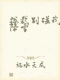 总裁别碰我 韩降雪