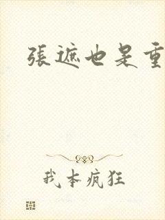 张遮也是重生吗