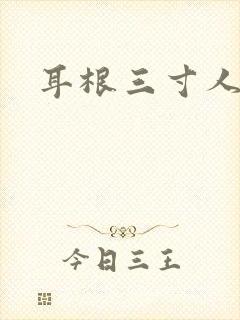 耳根三寸人间