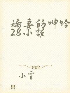 娇妻的呻吟1—28小说