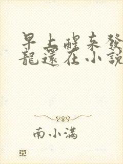 早上醒来发现巨龙还在小说