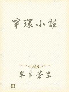 穿环小说