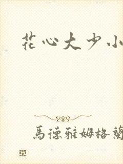 花心大少小说