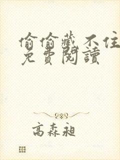 偷偷藏不住小说免费阅读