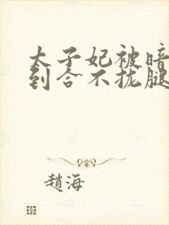 太子妃被暗卫C到合不拢腿