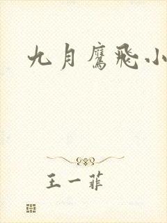 九月鹰飞小说