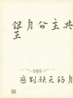 银月公主共享公主