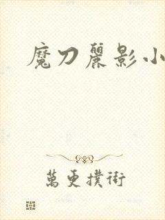 魔刀丽影小说