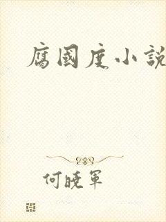 腐国度小说