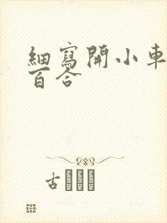 细写开小车车的百合