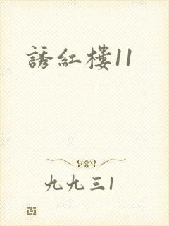 诱红楼11