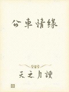 公车情缘