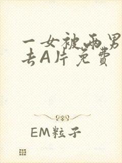 一女被两男桶进去A片免费