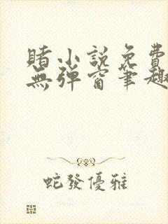 赌小说免费阅读无弹窗笔趣阁