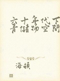 六十年代下乡知青储物空间