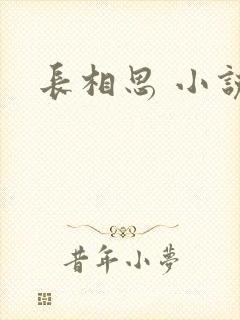 长相思 小说