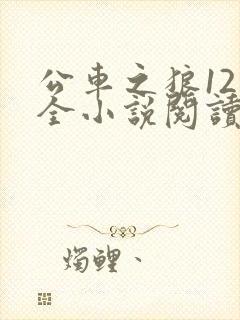 公车之狼12集全小说阅读