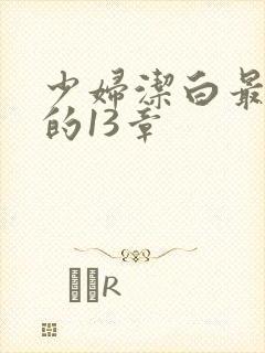 少妇洁白最刺激的13章