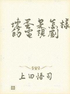 坏蛋是怎样炼成的电视剧