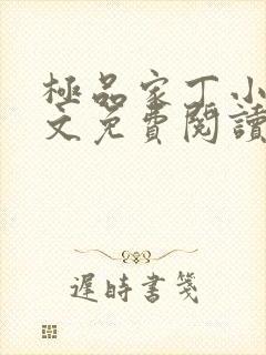 极品家丁小说全文免费阅读