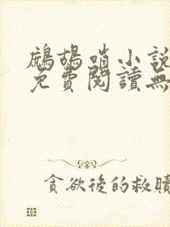 鹧鸪哨小说网站免费阅读无弹窗