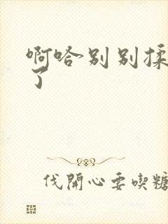 啊哈别别揉那处了