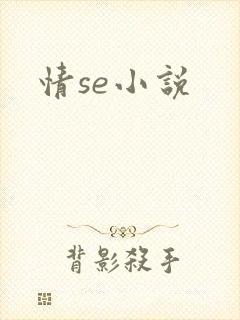 情se小说