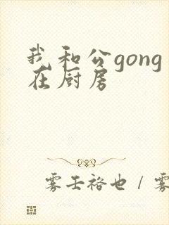 我和公gong在厨房