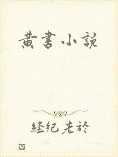 黄书小说