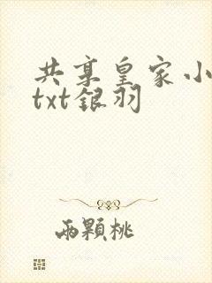 共享皇家小公主txt银羽