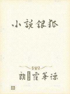 小说银狐