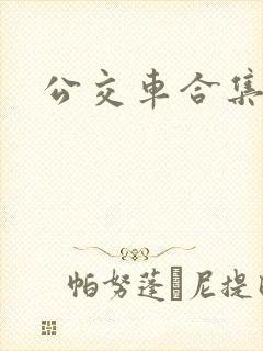公交车合集