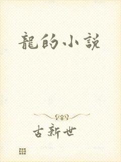 龙的小说