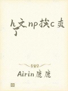 h文np挨c爽了