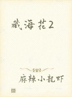 藏海花2