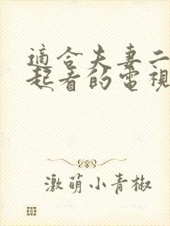 适合夫妻二人一起看的电视剧