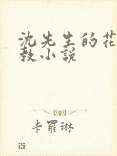 沈先生的花式调教小说