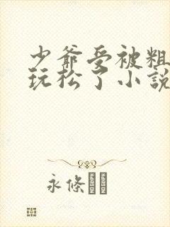 少爷受被粗汉H玩松了小说