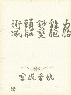 街头钞能力无删减版双胞胎