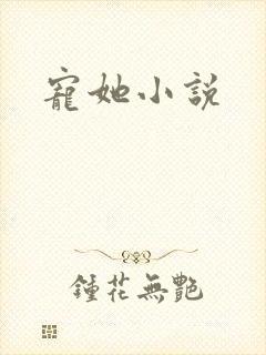 宠她小说