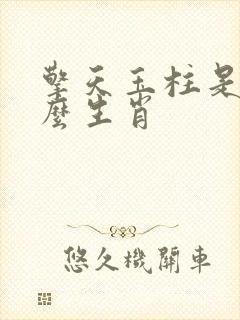 擎天玉柱是指什么生肖